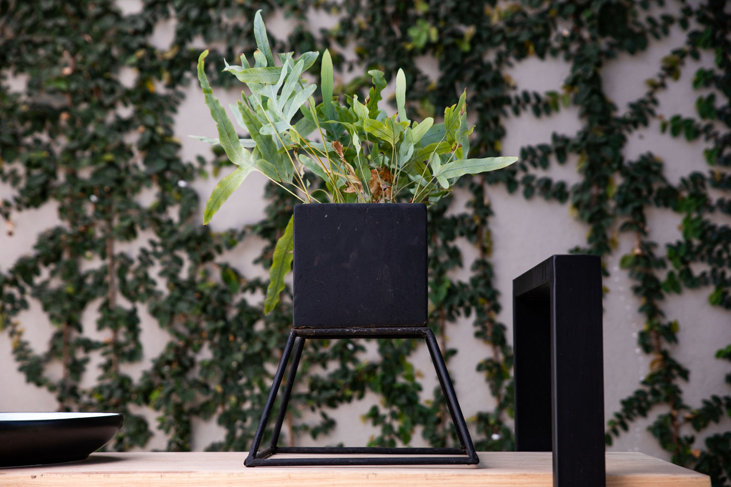 Eco Haven Planter Cube