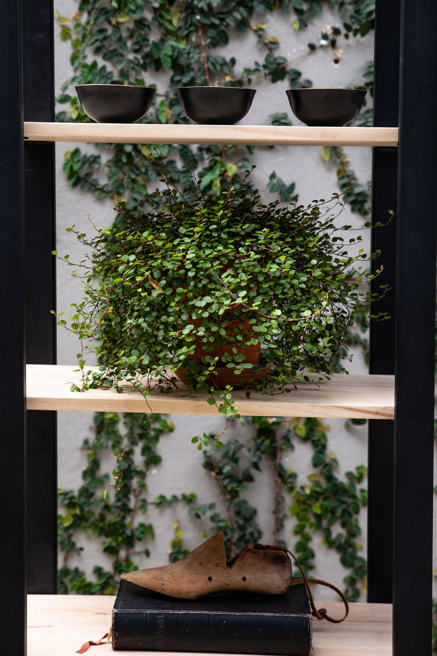 Crafters Ladder Shelving Unit