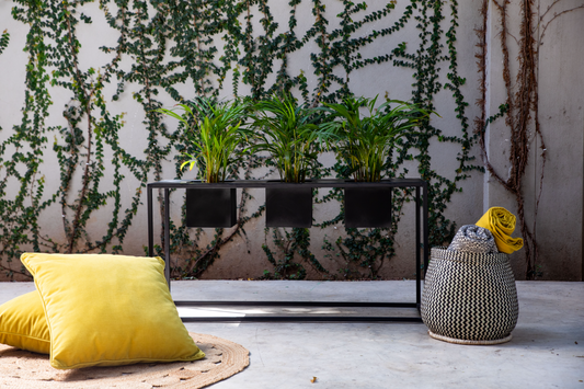 Triple Box Planter